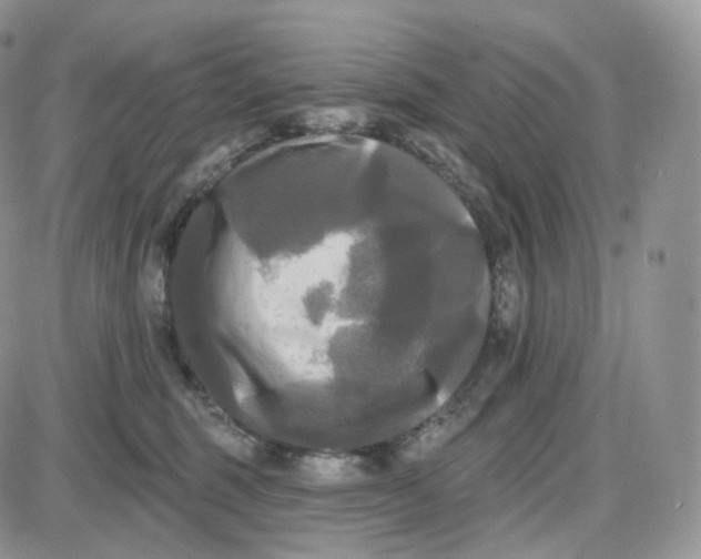 X0000087630375200705241221