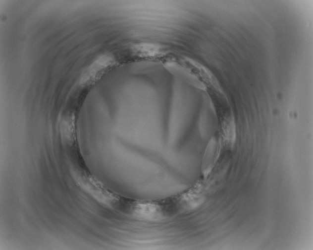 X0000087630376200705241221