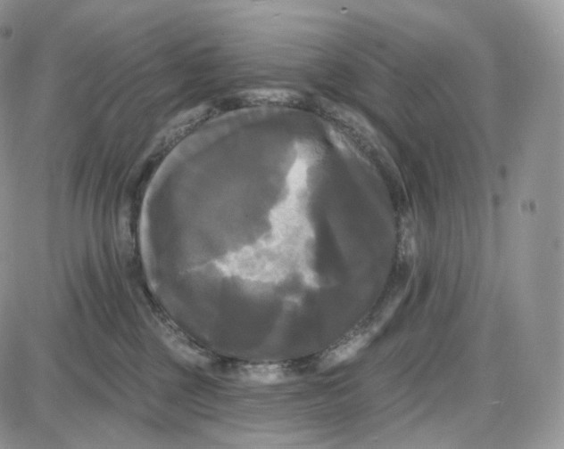 X0000087630377200705241221