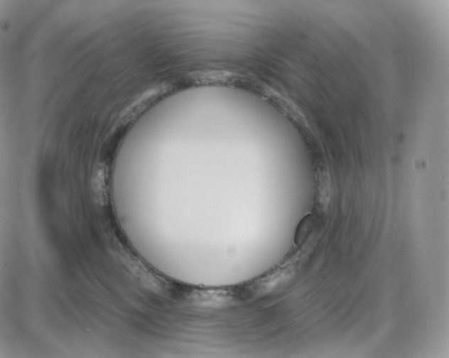 X0000087630378200705241221