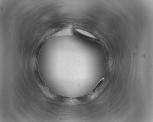 X0000087630379200705241221