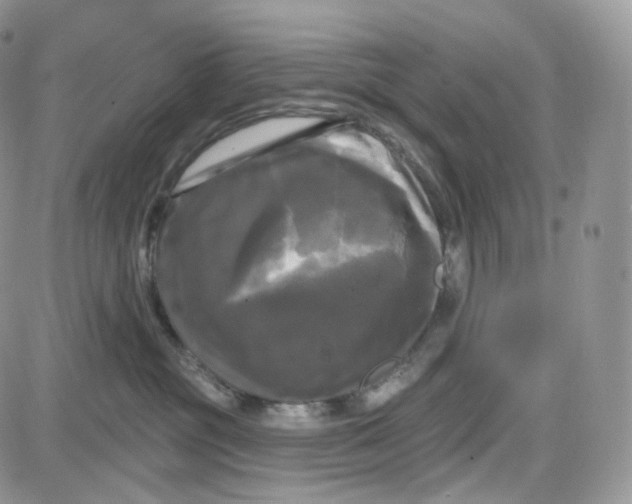 X0000087630381200705241221