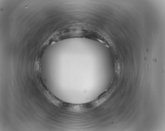 X0000087630382200705241221