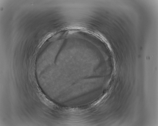 X0000087630385200705241220