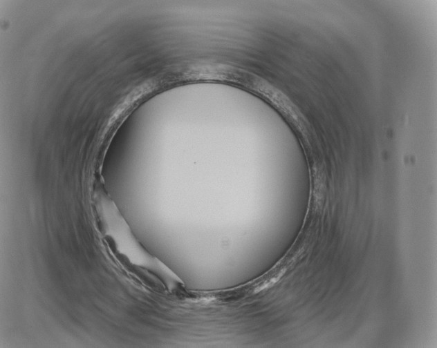 X0000087630386200705241220