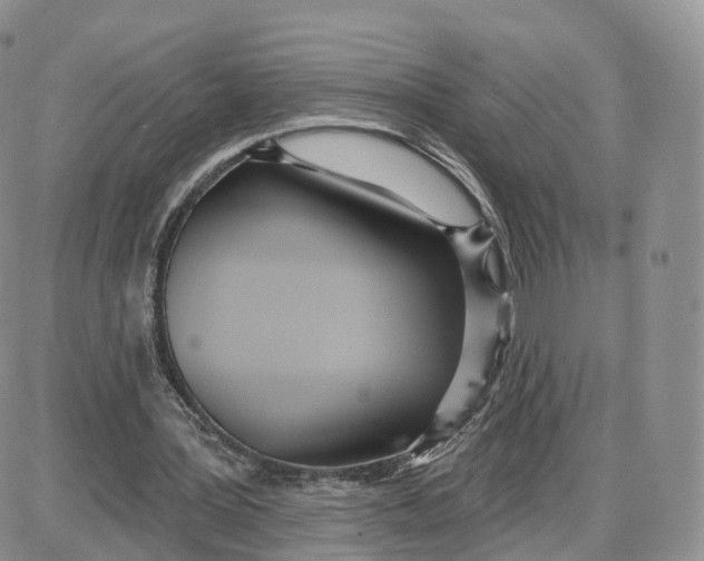 X0000087630387200705241220