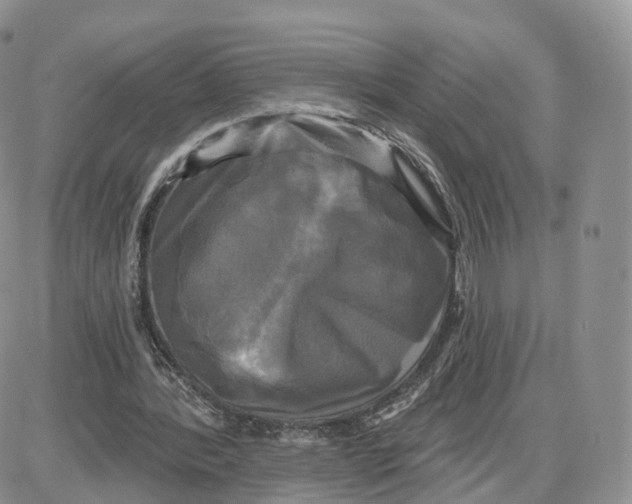 X0000087630388200705241220