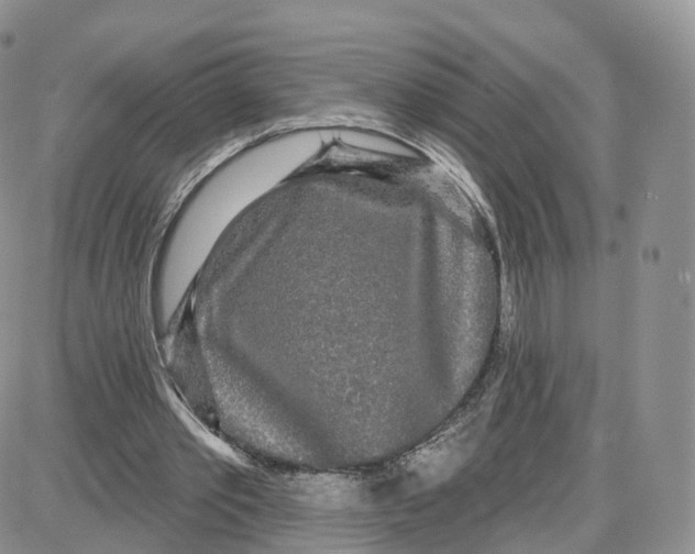 X0000087630389200705241220