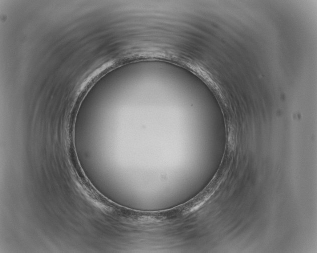 X0000087630390200705241220