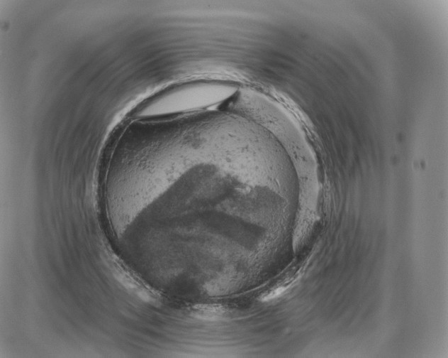 X0000087630391200705241220