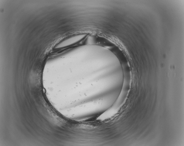 X0000087630393200705241220