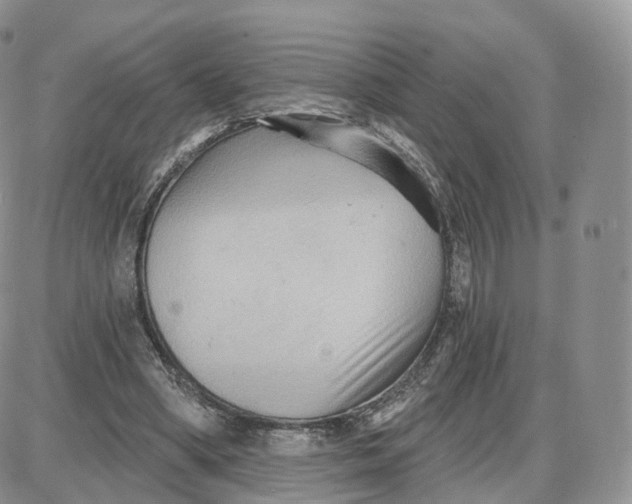 X0000087630394200705241220