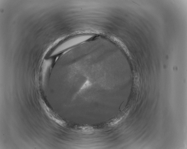 X0000087630395200705241220