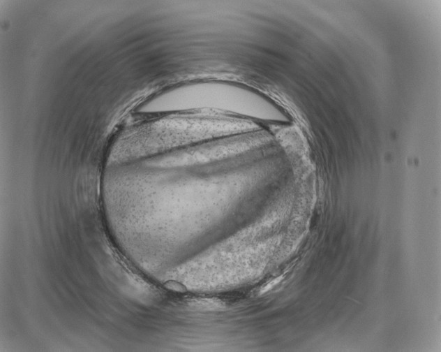 X0000087630397200705241220