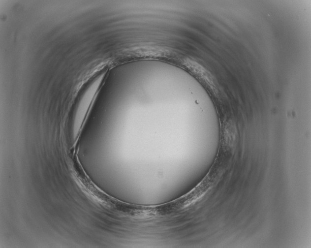 X0000087630398200705241220