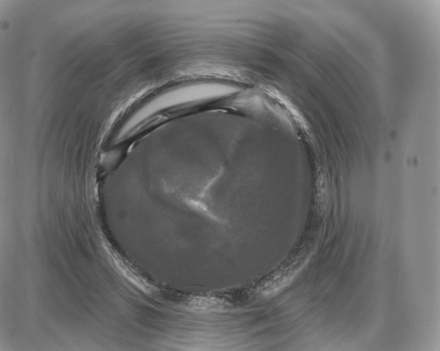 X0000087630399200705241220