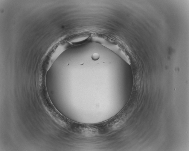 X0000087630400200705241220