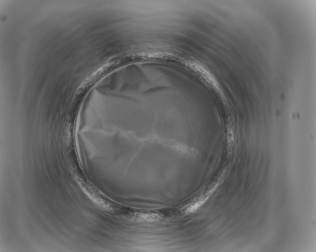 X0000087630401200705241220