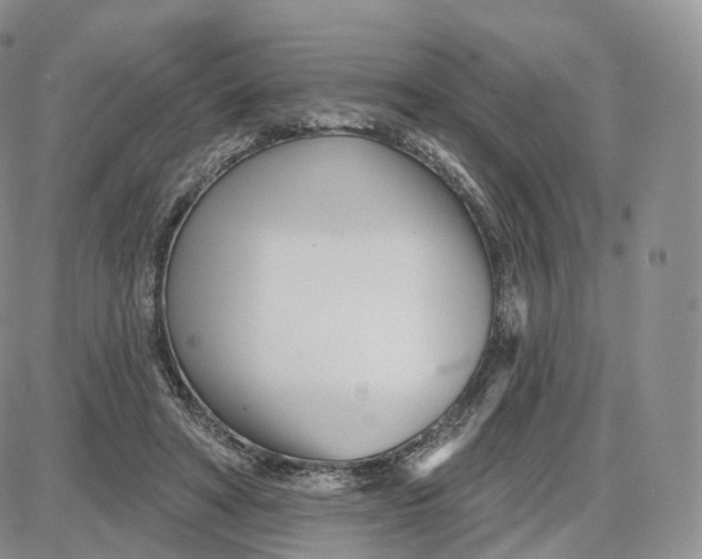 X0000087630402200705241220