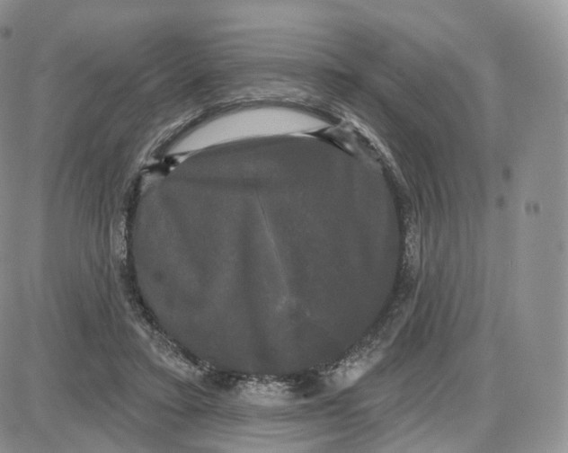 X0000087630403200705241220