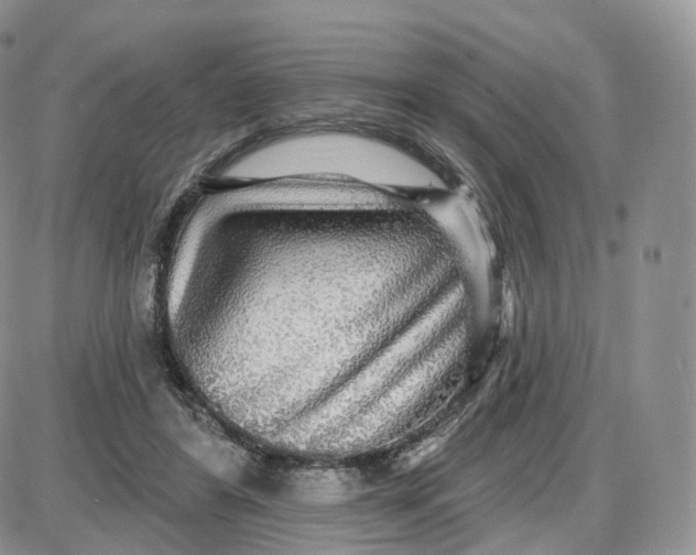 X0000087630404200705241220