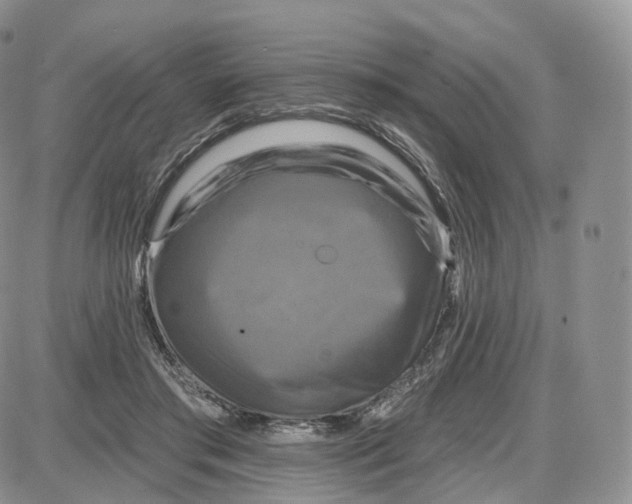 X0000087630405200705241220