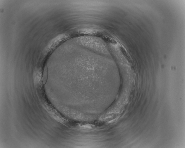 X0000087630407200705241220