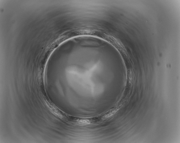 X0000087630409200705241220