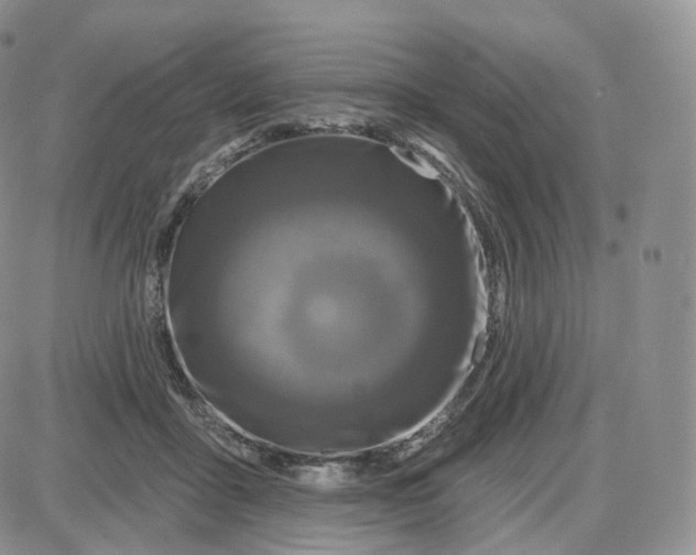 X0000087630411200705241220