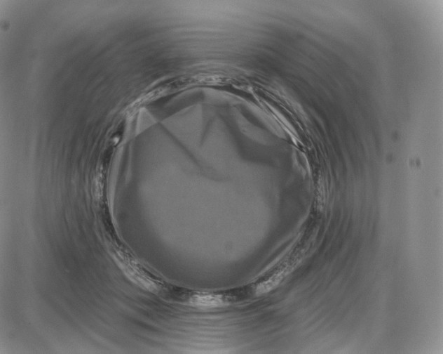 X0000087630413200705241220