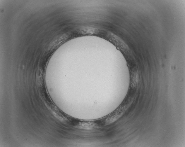 X0000087630414200705241220