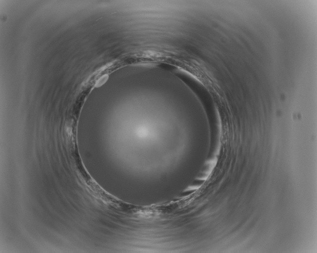 X0000087630415200705241220