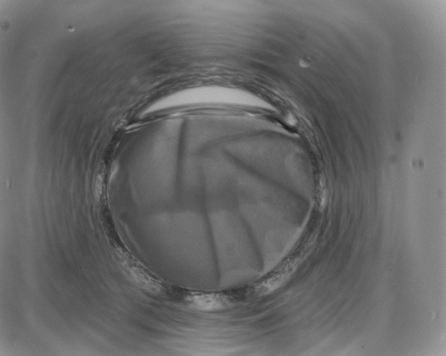 X0000087630417200705241220