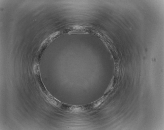 X0000087630419200705241220