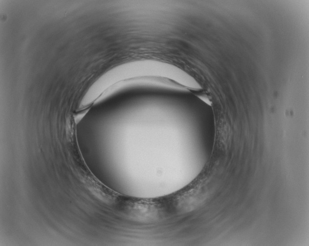 X0000087630420200705241220