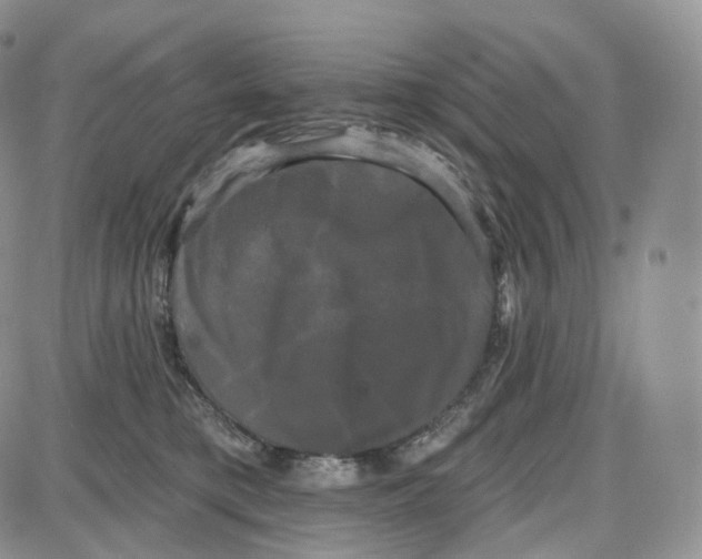 X0000087630421200705241219