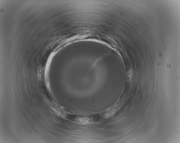 X0000087630423200705241219