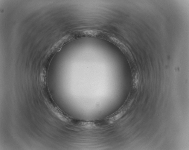 X0000087630424200705241219