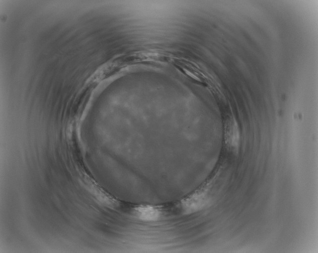 X0000087630425200705241219