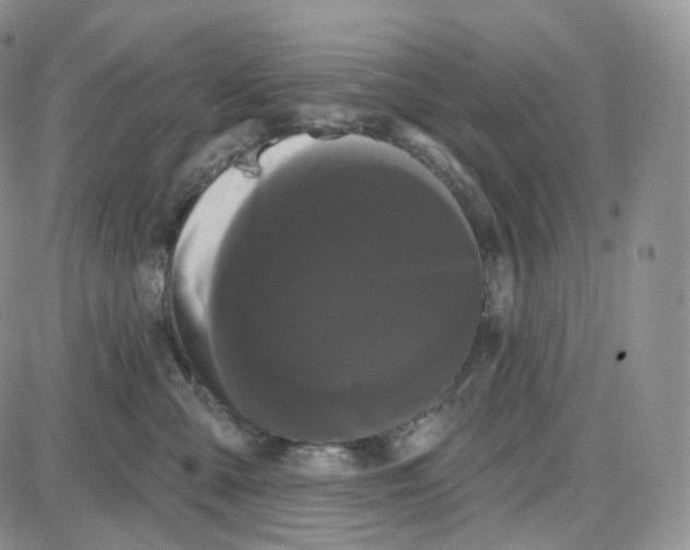 X0000087630427200705241219