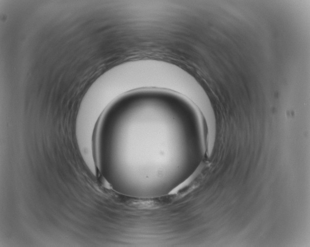 X0000087630428200705241219