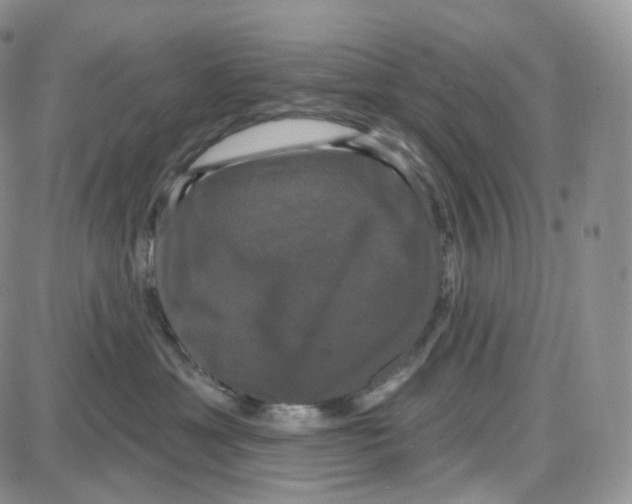 X0000087630429200705241219