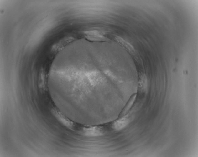 X0000087630430200705241219