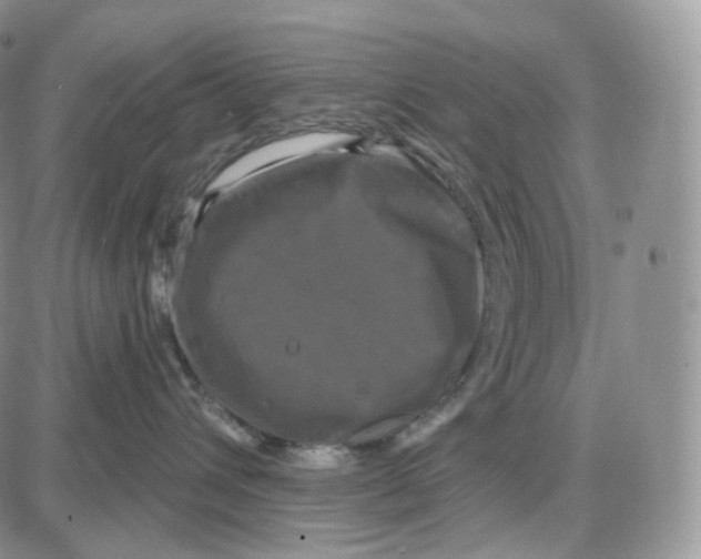 X0000087630432200705241219