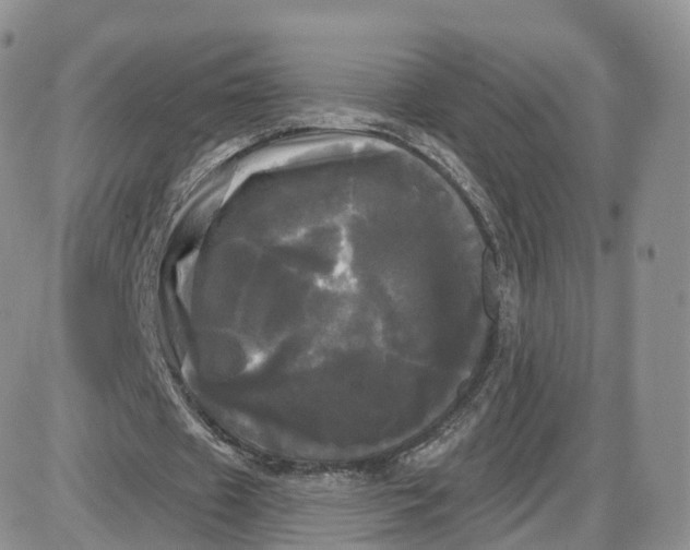 X0000087630433200705241219