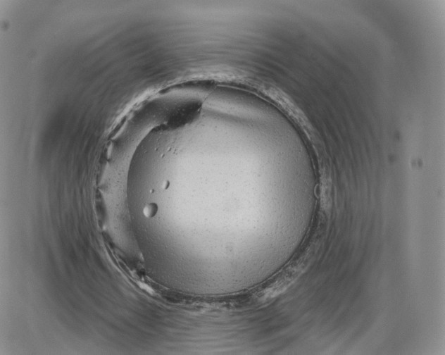 X0000087630434200705241219