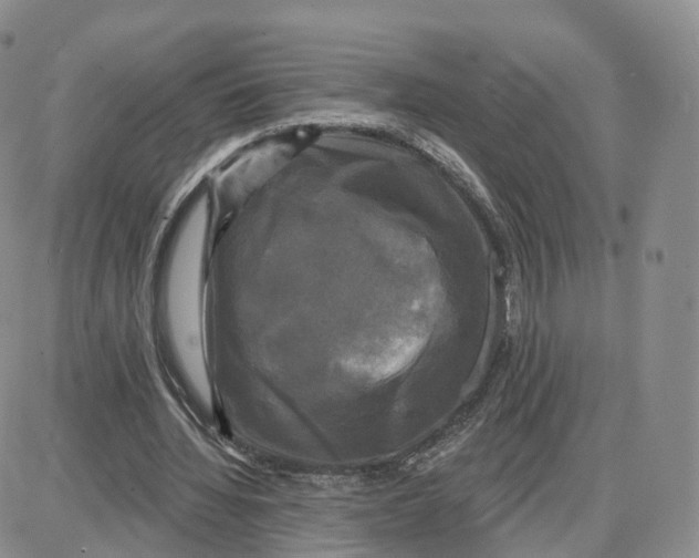 X0000087630436200705241219