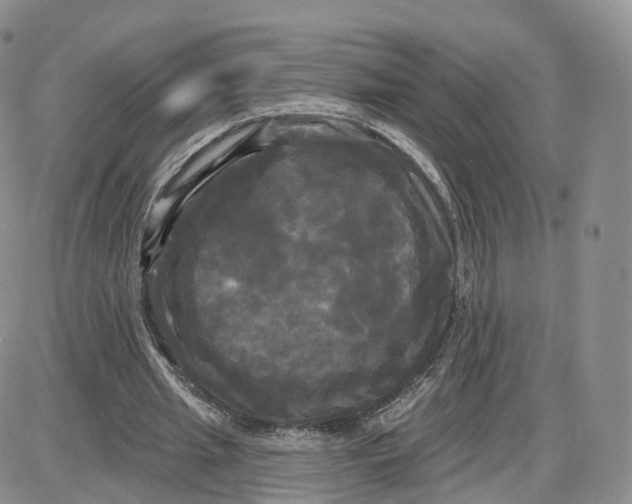 X0000087630437200705241219