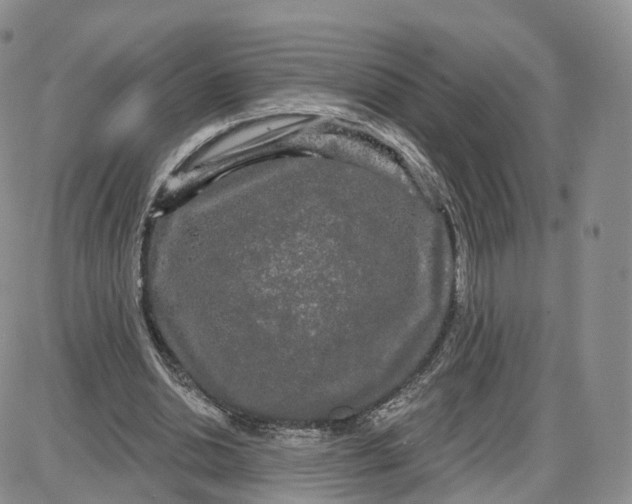 X0000087630438200705241219