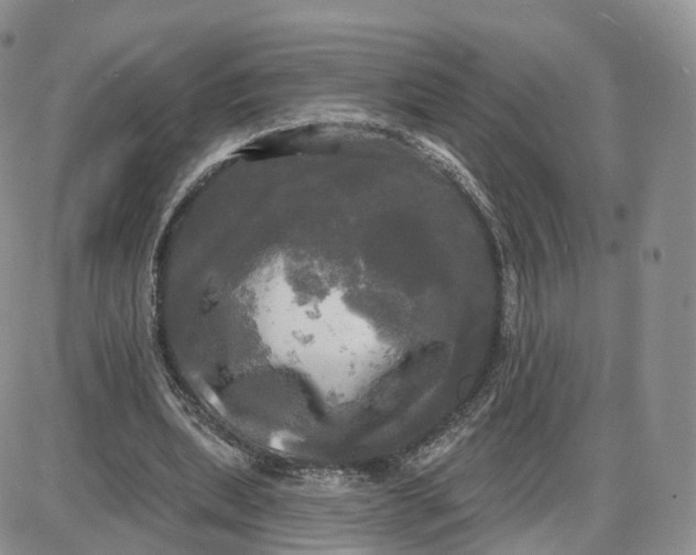 X0000087630439200705241219